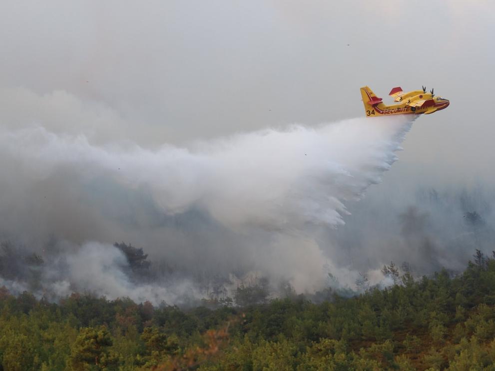 Fogos florestais: Comisso Europeia toma medidas para apoiar Portugal