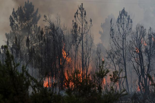 So necessrios maiores esforos de preveno para reduzir o risco crescente de incndios florestais no futuro 