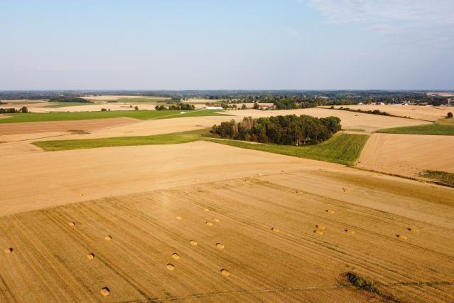 Agricultura: Aumento do comrcio agroalimentar da UE em setembro de 2022