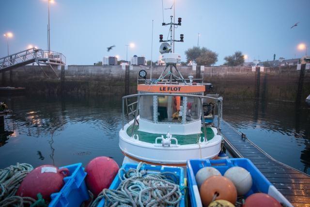 Pescas: Comissão propõe segundo pacote de medidas de crise para apoiar setores das pescas e da aquicultura