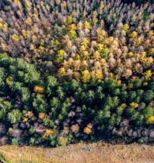 Pacto Ecolgico Europeu: Comisso lana consulta pblica para um ar mais limpo