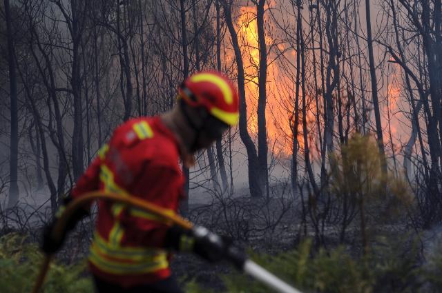 Incêndios florestais: UE mobiliza ajuda suplementar para Portugal, França e Albânia